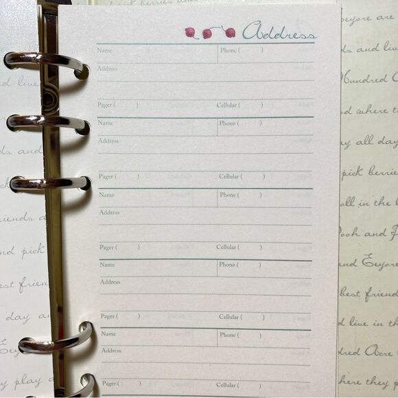 Winnie the Pooh 6-ring Daytimer Daily Weekly Monthly Project Notes Addresses NEW - Picture 9 of 9